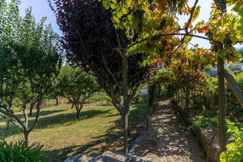 Quinta De Villa Franca - Douro Peso da Regua Bagian luar foto
