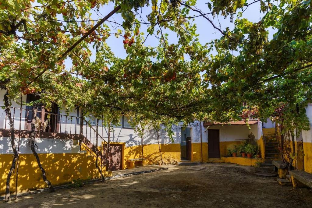 Quinta De Villa Franca - Douro Peso da Regua Bagian luar foto